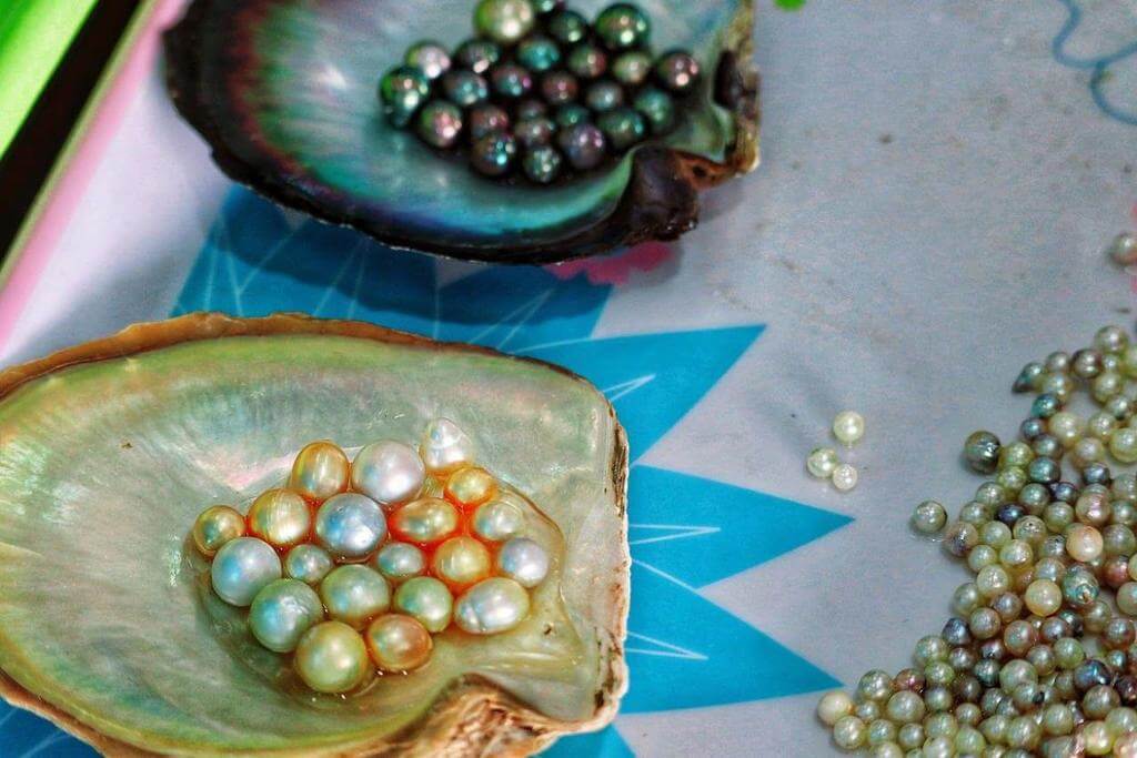 Where Do Pearls Come From?